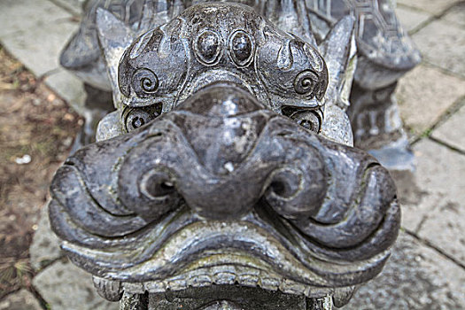 soicau bachthu mienbac