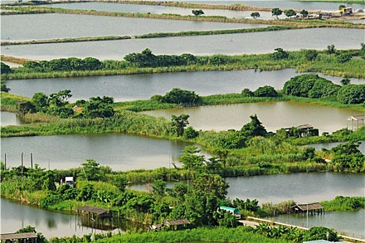 soi cầu dự đoán