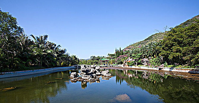soi cầu