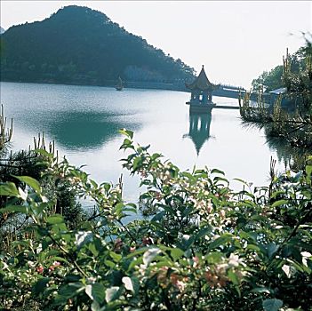 hướng dẫn đánh lô