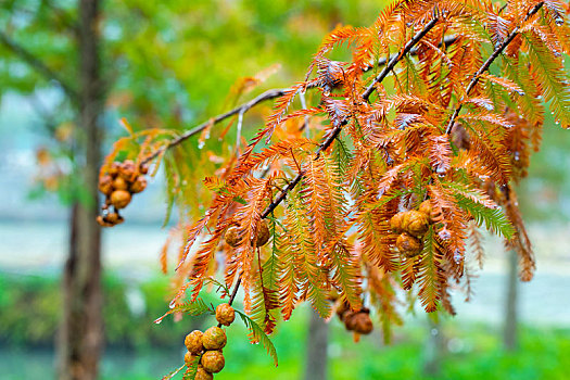 kinh nghiem danh lo bach thu