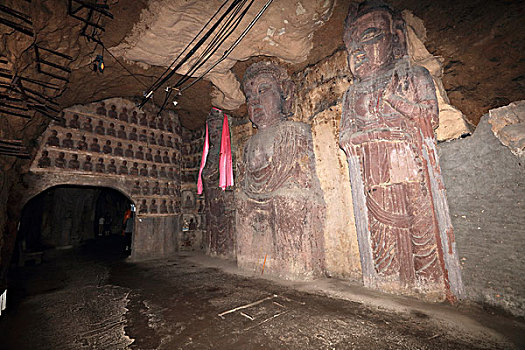 soi cau thong ke