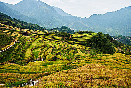 than tai du doan mien nam