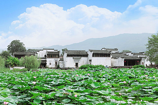 xổ số đồng nai