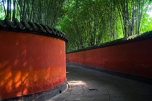dự đoán miền bắc