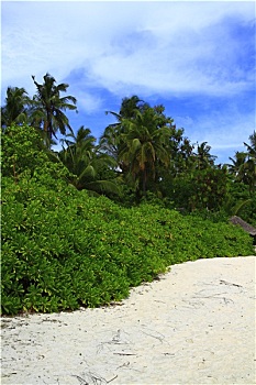 kqxs hậu giang