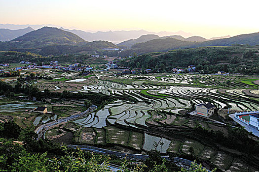 du doan xo so dong nai
