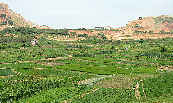 xổ số kiên giang ba đài