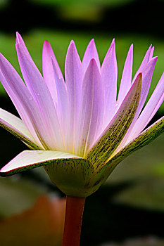 chuyen gia soi cau 777