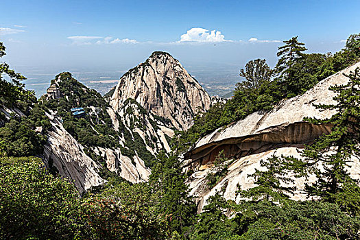 lô bach thu hom nay