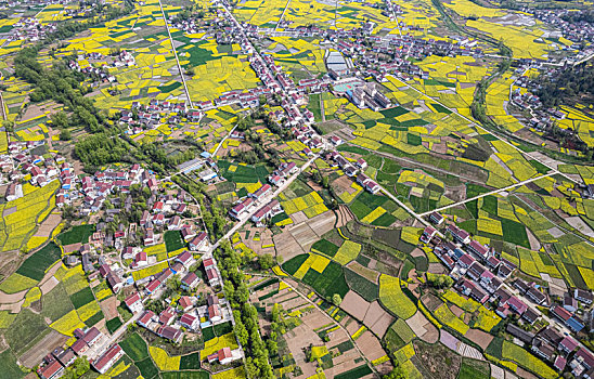cách đánh song thủ lô
