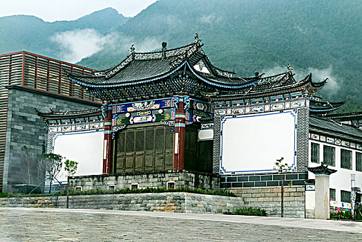 thuan vu 286