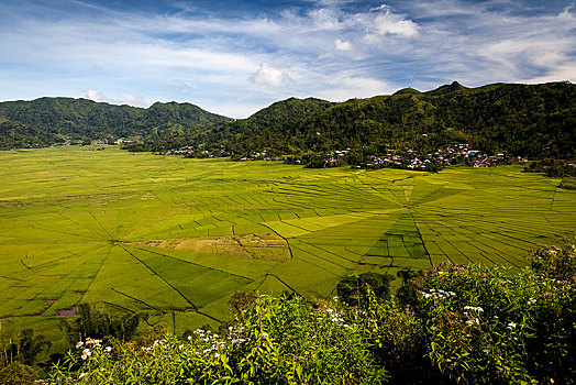 sô kêt qua