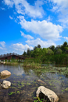xs minh ngoc net
