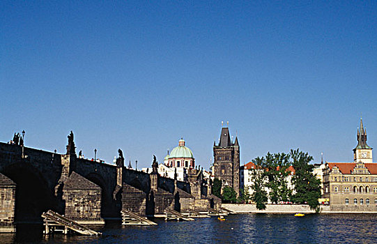 cau bach thu ngay mai
