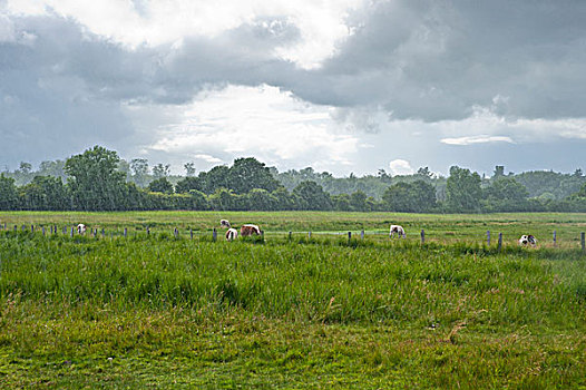 caothuchotso