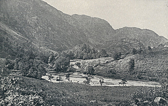 soi cau bach thu ngay hom nay