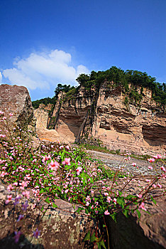 quay thu xs gia lai