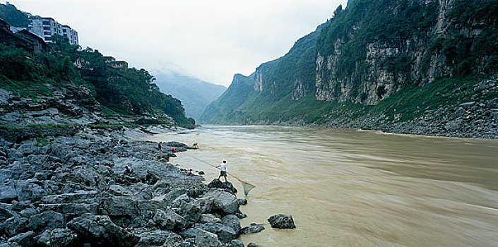 bạch thủ lô tô