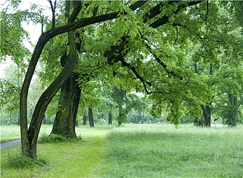 dự đoán xổ số miền