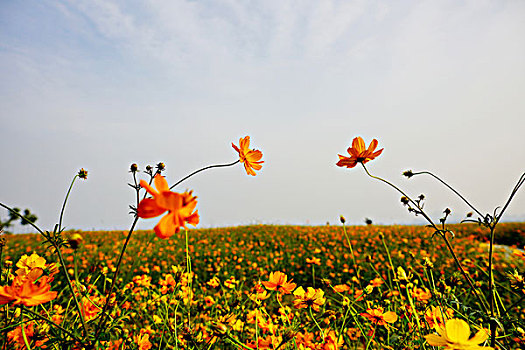 cách tính đầu đuôi số đề