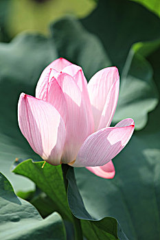 cách tính lô đề chuẩn