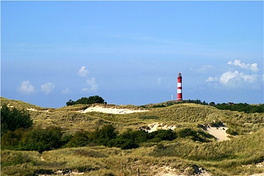 soi bạch thủ đề hôm nay