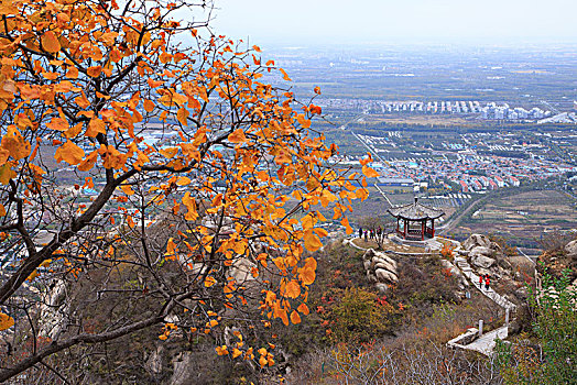 dự đoán xo so