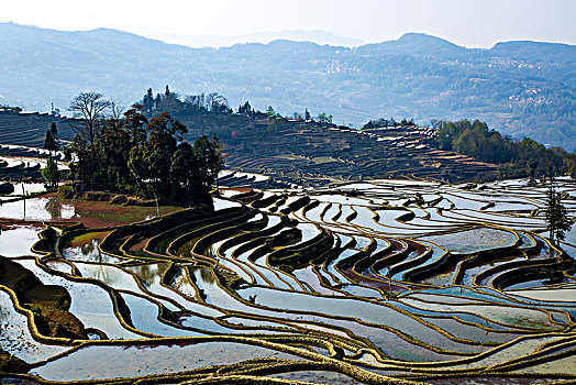 xổ số miền nam hôm