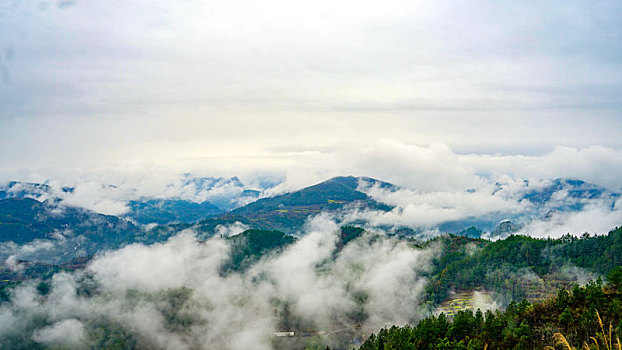 du doan bach thu
