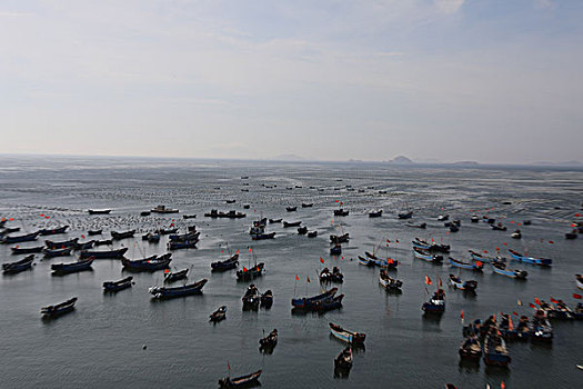 soi cau mb rong bach kim