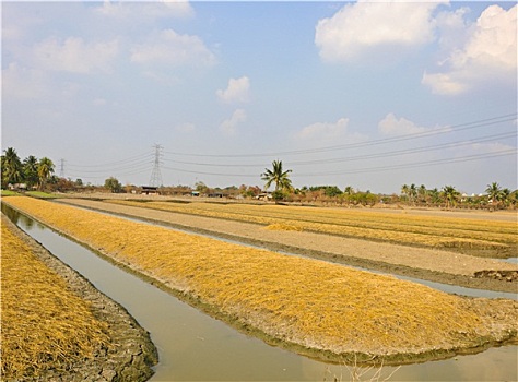 đánh lô xiên