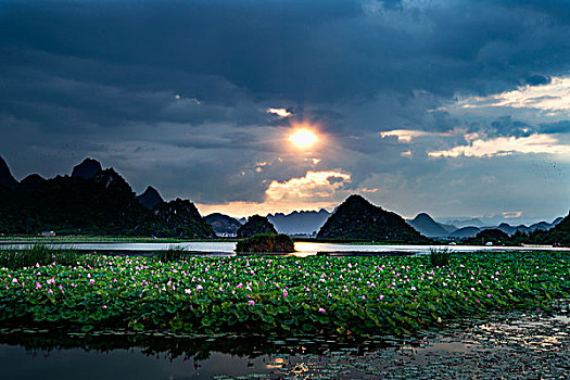 xổ số gì
