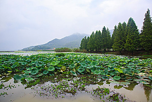 tỷ lệ kèo nhà cái nam mỹ