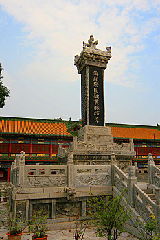 soi câu 24