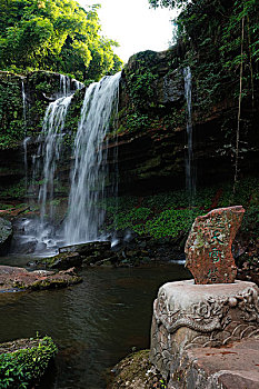 soi cau rong bach kim mien phi
