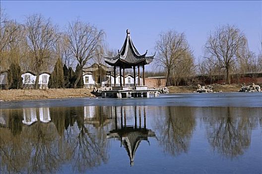 bach kim lo de