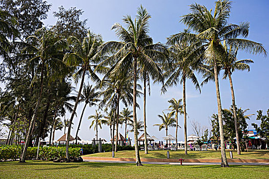 soi cau bach thu mien bac hom nay