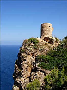 xs ca mau