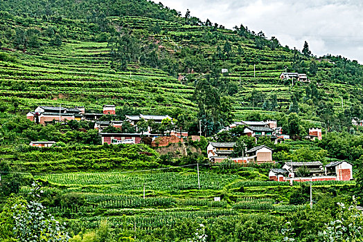 xổ số ninh thuận hôm nay