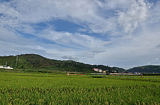thống kê lô gan miền bắc