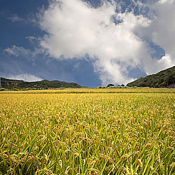 cách đánh lô luôn thắng