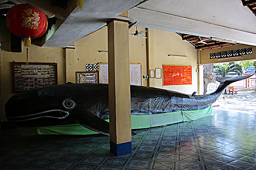 du doan trung thuong mien bac