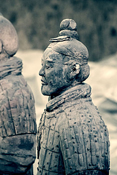 soi câu miền bắc