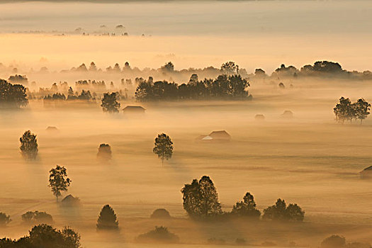 soi cau hoang minh
