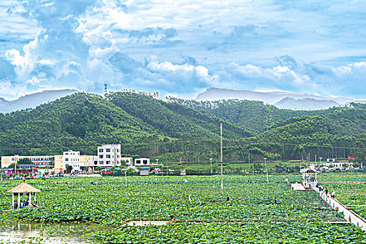 xo so miền bac
