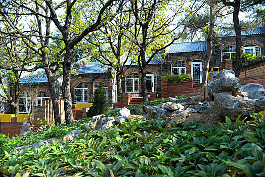 cầu bạch kim