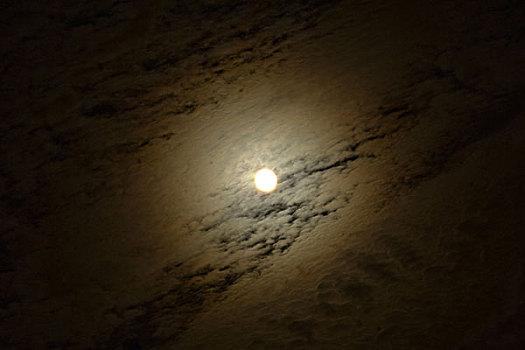 xổ sô