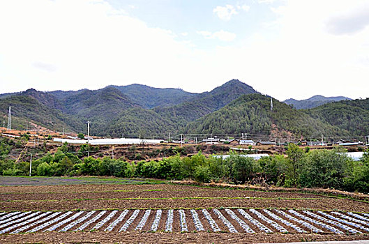 thần lô đề