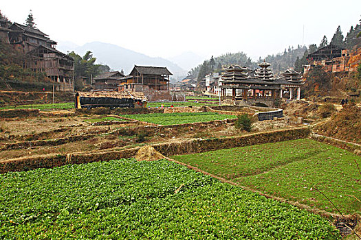 dự đoán bạch thủ đề hôm nay